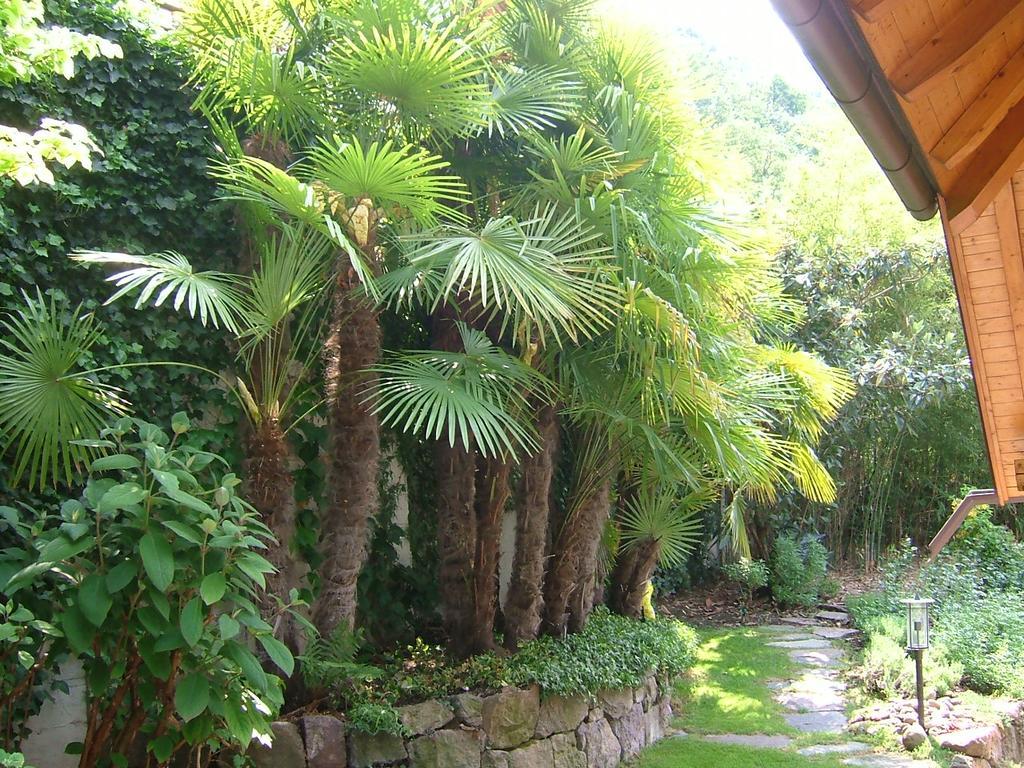 Villa Sissi Лайвес Экстерьер фото